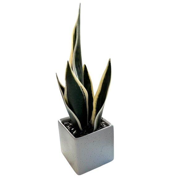 Artificial Snake Plant In Speckled White Square Ceramic Pot - Picture 1 of 6